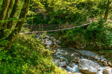 Serene wooden suspension bridge over rushing waters in Slovenias lush Triglav National Park