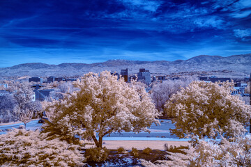 Infrared trees and Boise skyline with blue sky