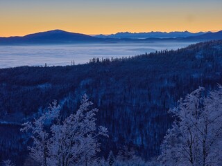 Beskidy, Schronisko Szyndzielnia. Wchód słońca / świt na Szyndzielni. Inwersja, mgły,  © filozofgrecki