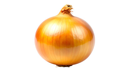 Isolated, round, golden-brown onion, with papery skin, set against black background