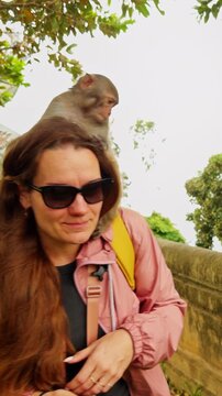 Vertical video. Wide Angle View of Several Monkeys Climbing on Woman Bending Forward with Distressed Expression near Stone Railing in Green Temple Area forming a Wildlife Interaction Concept