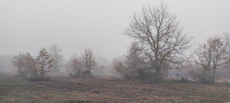 Valle monta&ntilde;oso con praderas de hierba seca y bosques caducifolios bajo un cielo gris de invierno en Palencia, Espa&ntilde;a