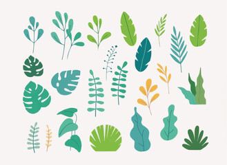 Colorful leaves & plants set