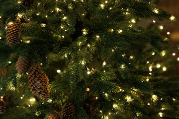 Christmas Tree Branches with Warm Fairy Lights Close Up