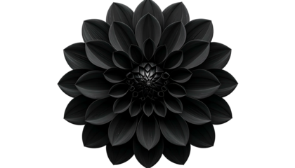 A symmetrical, monochrome image of a fully bloomed flower against a black backdrop