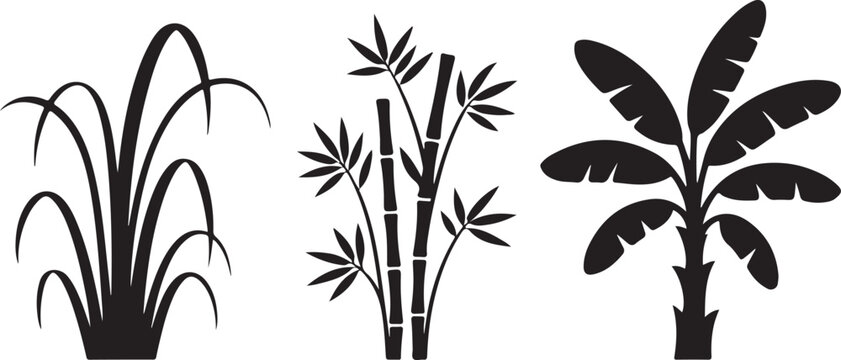 Tropical plants sugarcane bamboo and banana leaves clean silhouette vector illustrations