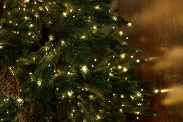 Christmas Tree Branches with Warm Fairy Lights Close Up