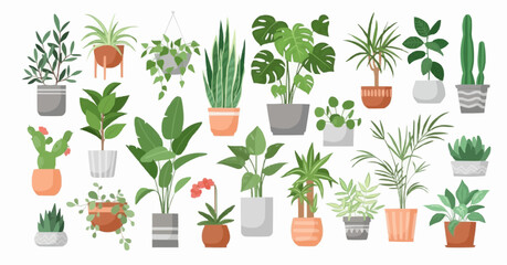 Houseplant vector set