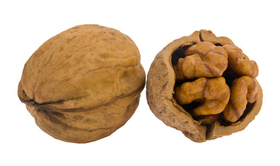 Detail for design. Design elements. Macro.