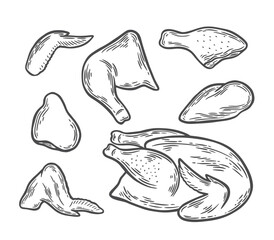 Parts of chicken meat