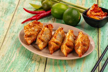 Asian fried stuffed dumplings gyoza