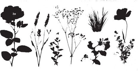 Naklejka premium Floral silhouette illustration featuring various plants in black against a white background. This vector set provides modern decorative elements.
