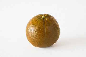 chocolate navel orange, orange with brown skin, close-up