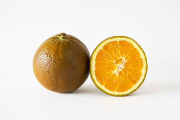 chocolate navel orange, orange with brown skin, close-up