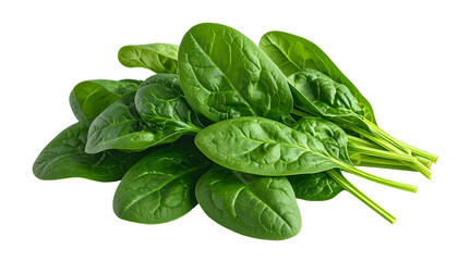 A clump of fresh, vibrant green spinach leaves on a transparent background