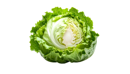 A fresh, vibrant head of cabbage, one half cut showing layered leaves and white core