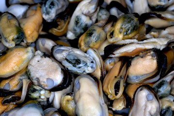 meat of boiled mussels without shells ready for consumption and further cooking