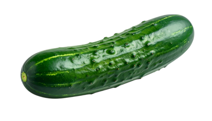 Isolated medium-sized cucumber with dark green bumpy skin against a stark black background