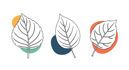 Collection of three modern leaves in a minimal line art style with abstract colorful shapes for contemporary botanical wall decor.