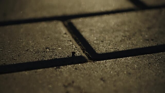 Close-up of textured stone pavement tiles with gritty surface details and deep shadowed grout lines in warm low-angle golden sunlight, creating abstract geometric patterns and a moody urban ambiance
