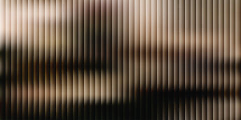 Blurry vertical lines in brown and black