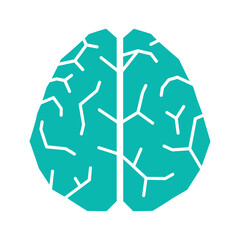 Human brain illustration with neural pathways