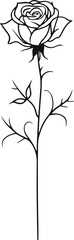  Continuous single-line art of a rose with long stem, love and elegance concept, minimalist outline