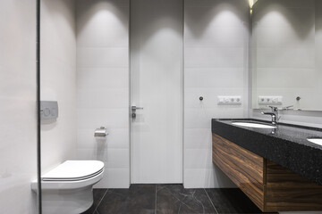 modern bathroom room with toilet and washing machine