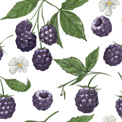 Blackberry seamless pattern,  hand-drawn illustrations, pencil drawing