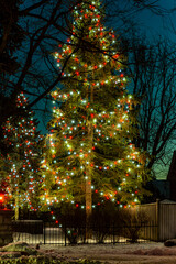 Christmas lights on the  tree at night