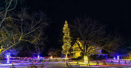 Christmas tree at night in the park 