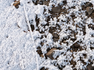 Frosty shore stones