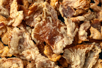 Crispy Fried Mushroom chips, snack in a white bowl
