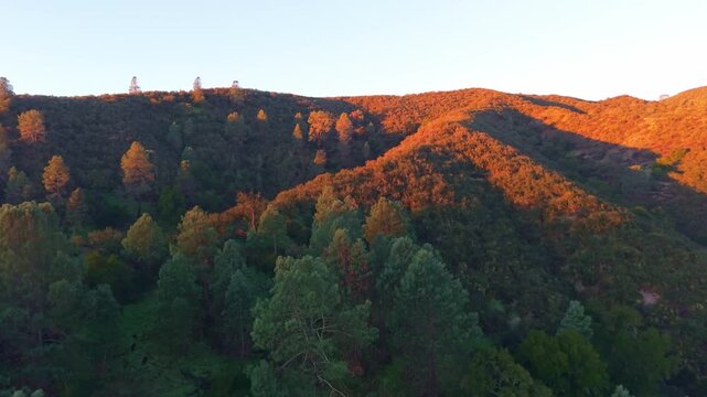This stunning aerial view captures the volcanic rock spires and peaks of Pinnacles National Park at sunrise