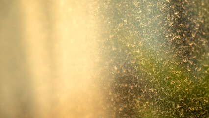 Obraz premium A macro photograph of condensation on a window, backlit by warm sunlight. Features a textured, granular pattern in hues of gold, yellow, green, and brown, creating an abstract effect.
