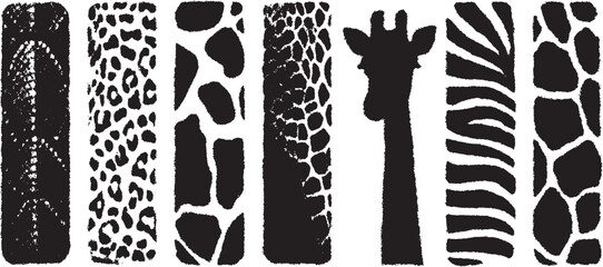 Obraz premium Animal texture patterns including spots and stripes. This set features giraffe, zebra, and leopard designs in a black and white vector illustration.