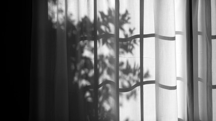 A black and white image of tree and window frame shadows cast on a translucent curtain, creating a...