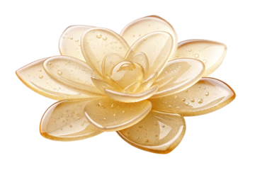 Transparent background with translucent gel-like flowers. Crystal. Glossy. Three-dimensional. 3DCG. Transparent yellow.