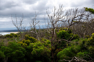 Obraz premium Coastal Views at Booderee