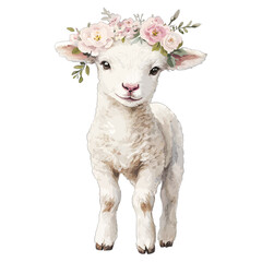 Watercolor white lamb with pink floral crown, vector illustration
