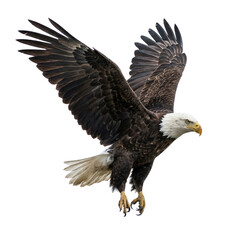 Obraz premium Majestic Bald Eagle in Flight on Transparent Background a Symbol of American Freedom