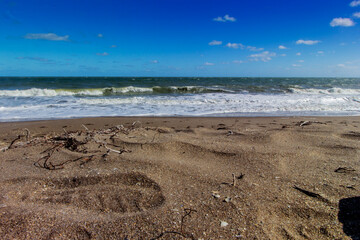 Sunny Day at the Beach, Fort Pierce, Florida