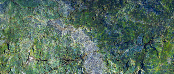 Stone rock texture green color