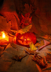 Still life for Halloween with Tikvi and the leaves ringing during the habit