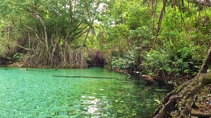 Arroyo Salado pertenece a Pedernales en República Dominicana Está clasificado como: Hidrográfico (Rio intermitente)