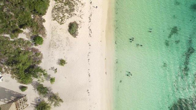 Bah&iacute;a de las &Aacute;guilas es una playa virgen en la Rep&uacute;blica Dominicana, reconocida por sus aguas cristalinas, arena blanca y paisajes impresionantes, considerada por muchos como un para&iacute;so natural.