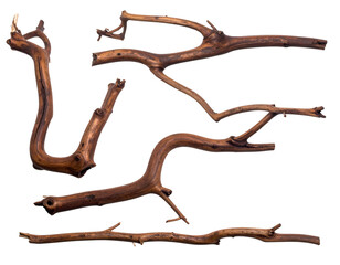 Obraz premium Gnarly, textured, dark wood branches arranged freely