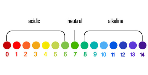 Ph level of acid and alkaline balance. pH Value Measurement Chart. Universal Test Strips and Indicators, vector illustration
