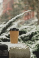 Hot Coffee To Go Cup on Bench Outdoors in Winter