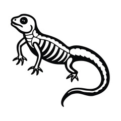 salamander skeleton